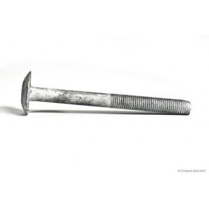 3/4" Timber Bolts2
